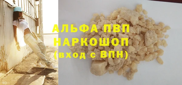 индика Арсеньев