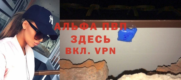 индика Арсеньев