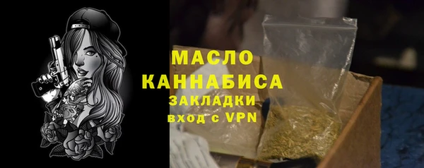 индика Арсеньев
