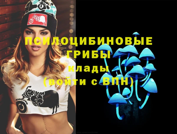 дмт Армянск