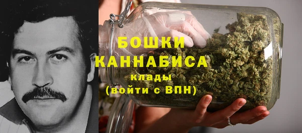 индика Арсеньев