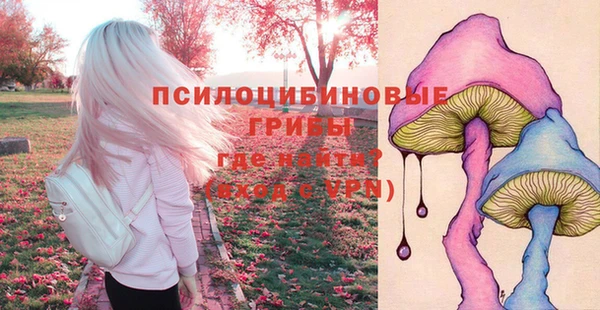 соль ск Аркадак
