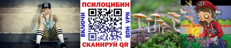 Галлюциногенные грибы MAGIC MUSHROOMS  где купить наркоту  Струнино 